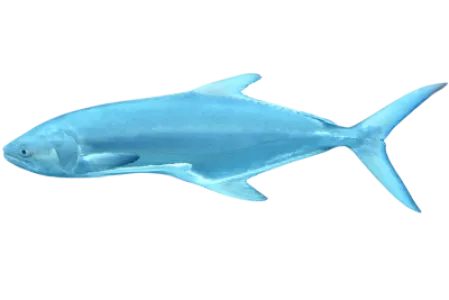 Leerfish